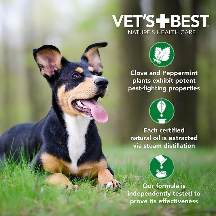 No. 1 - Vet's Best Natural Flea & Tick Spray - 5