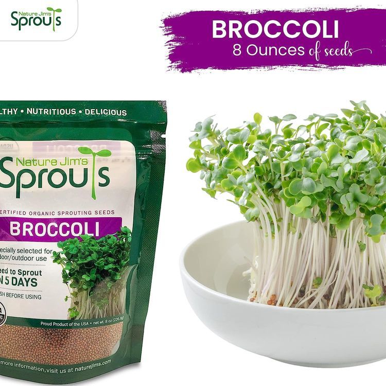 No. 3 - Broccoli Sprouts Seeds Kit - 2