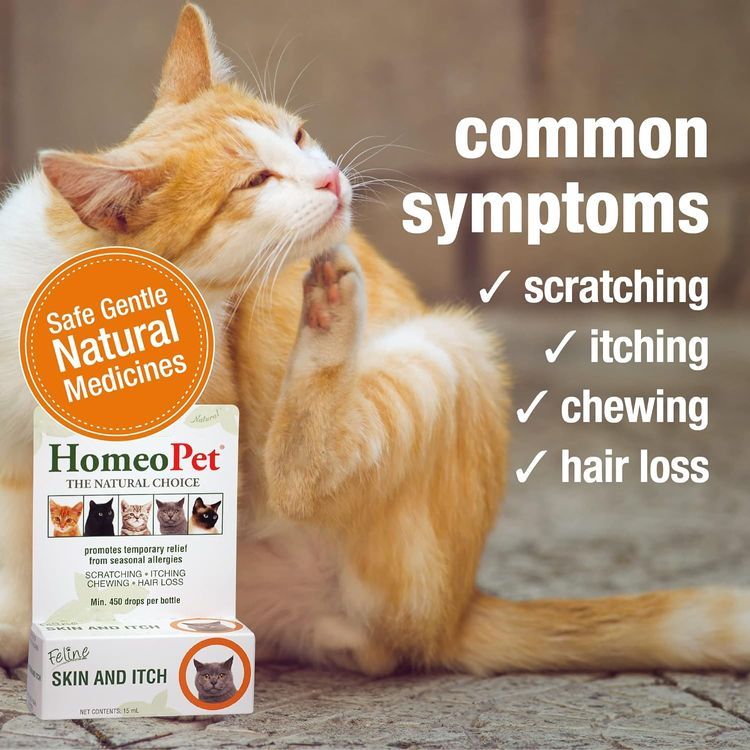 No. 3 - HomeoPet Feline Skin and Itch - 3