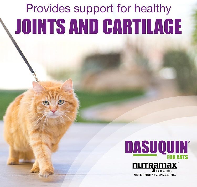 No. 3 - Nutramax Laboratories Cat Hip & Joint Care Supplement - 3