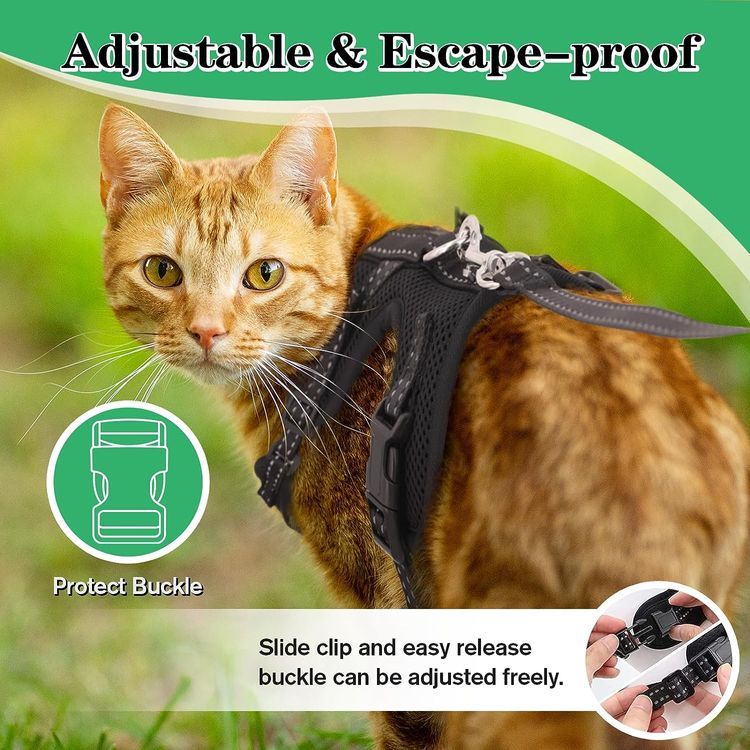 No. 10 - Supet Cat Harness and Leash Set - 3