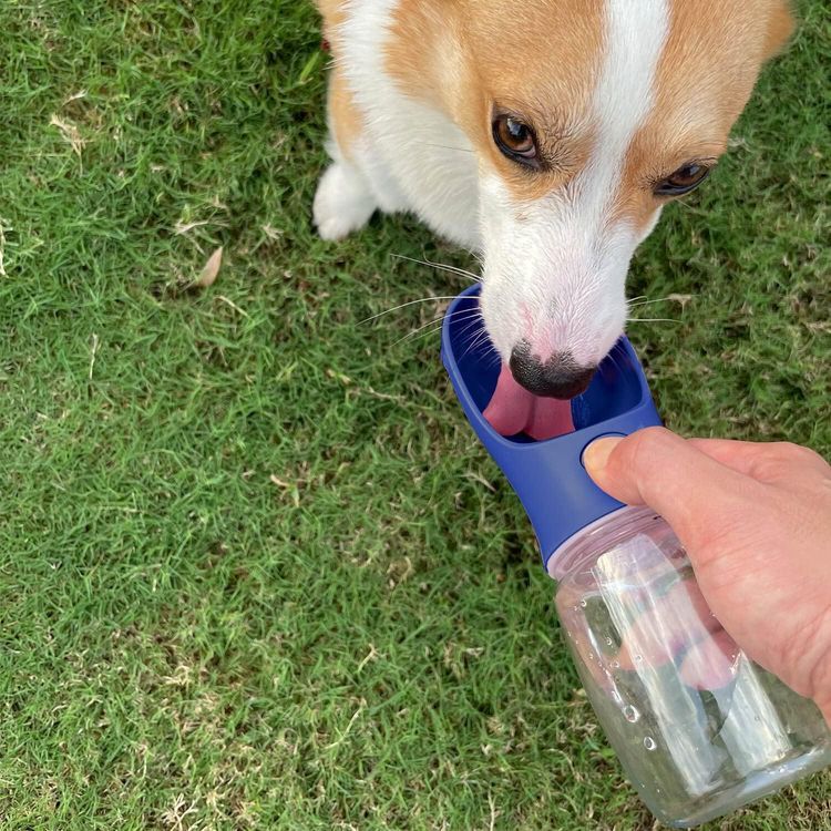 No. 3 - WePet Portable Dog Water Bottle - 2