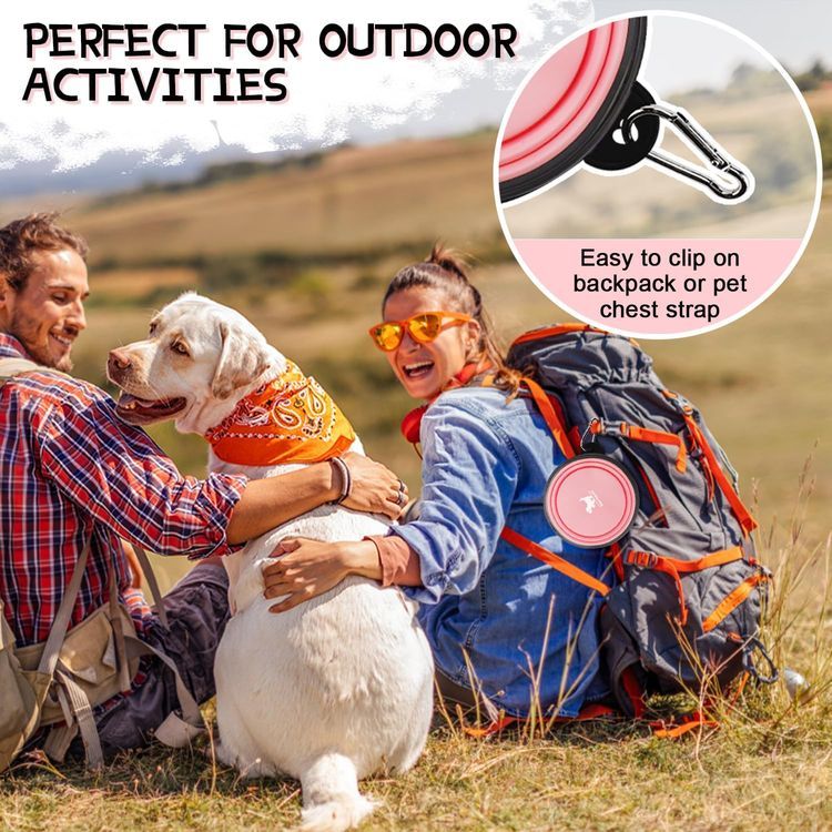 No. 3 - Collapsible Dog Bowls for Travel - 5