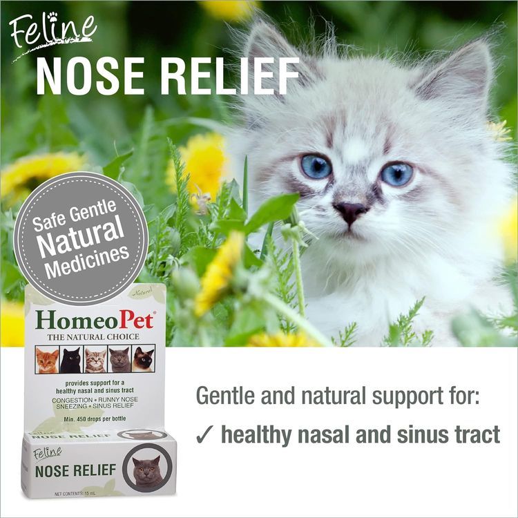 No. 5 - HomeoPet Feline Nose Relief Natural Pet Medicine - 2