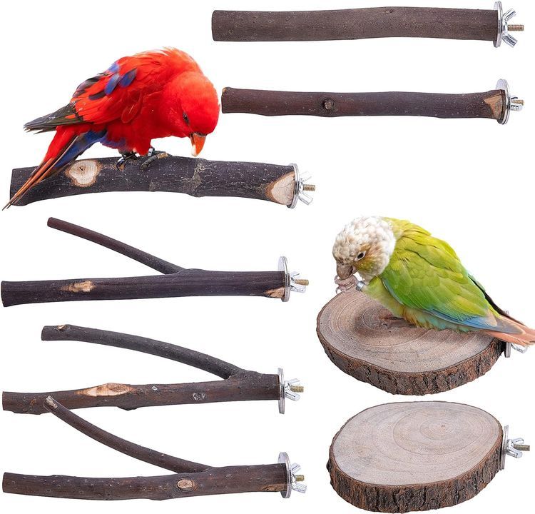 No. 10 - Deloky Wooden Parrot Perch Stand - 1