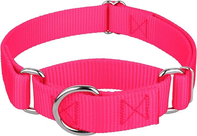 No. 10 - Hot Pink Martingale Heavy Duty Nylon Dog Collar - 5