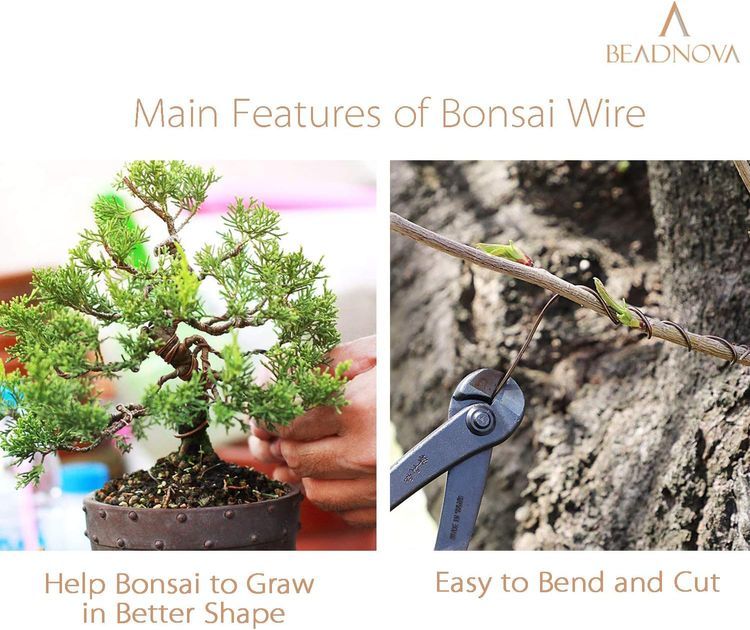 No. 10 - BEADNOVA Bonsai Training Wire - 4