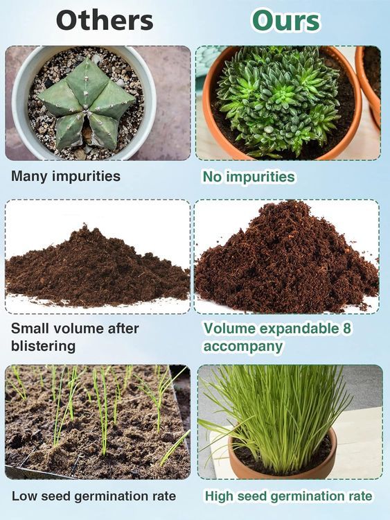 No. 6 - Coco Coir Soil Disks - 2