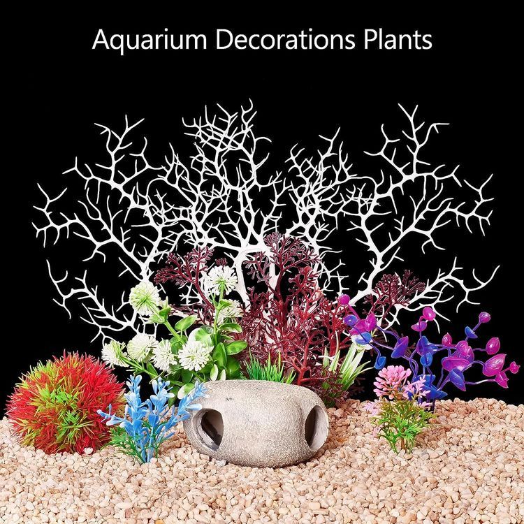 No. 2 - Fishdance Aquarium Plants - 2