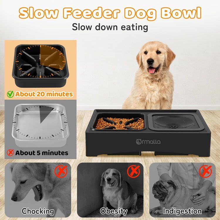 No. 2 - Dog Raised Bowls - 4