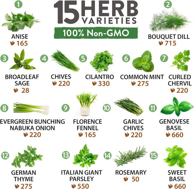 No. 2 - 4500+ Heirloom Herb Seed Pack - 2