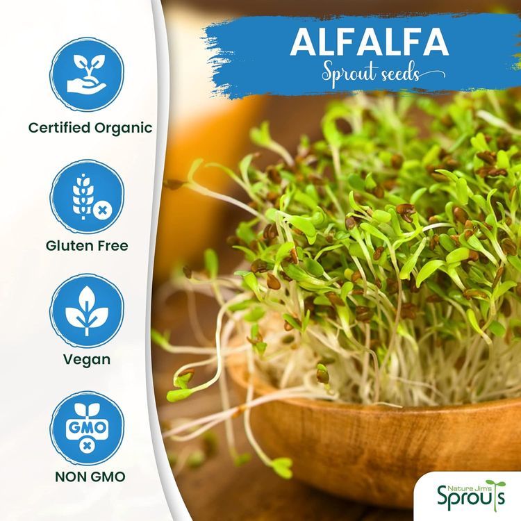 No. 9 - Nature Jims Sprouts Alfalfa Seeds - 4