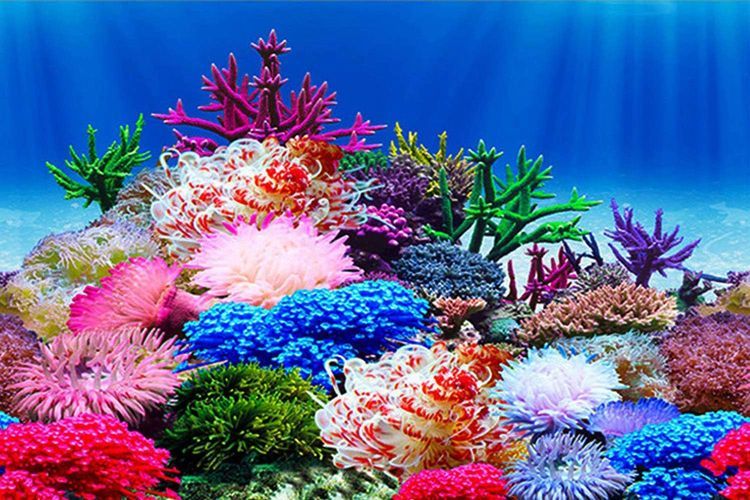 No. 8 - ELEBOX Fish Tank Background Stickers Wallpaper - 3