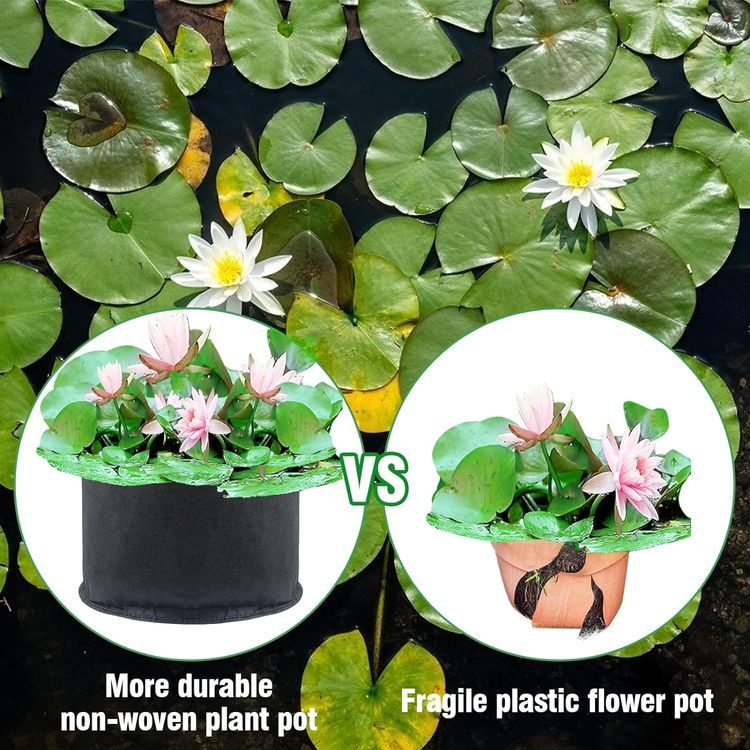 No. 6 - Aulock Aquatic Plant Pots - 3