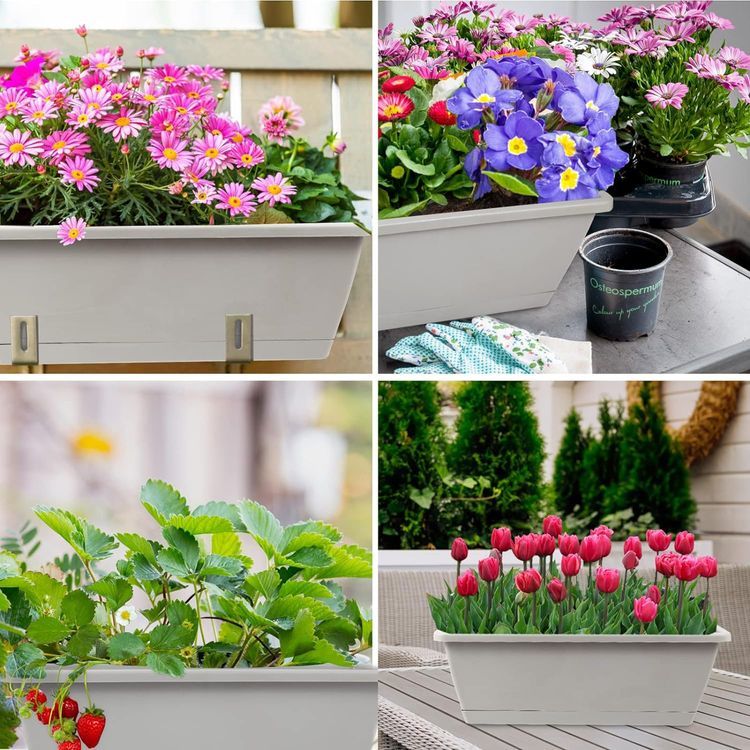 No. 3 - 8pcs Window Box Planter - 5