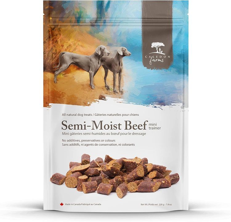 No. 1 - Semi-Moist Beef Dog Training Treats - 1