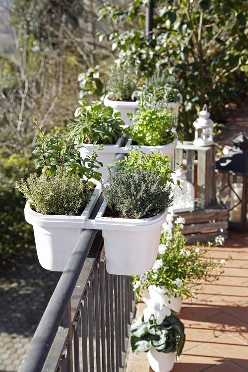 No. 8 - Rail Planters - 3