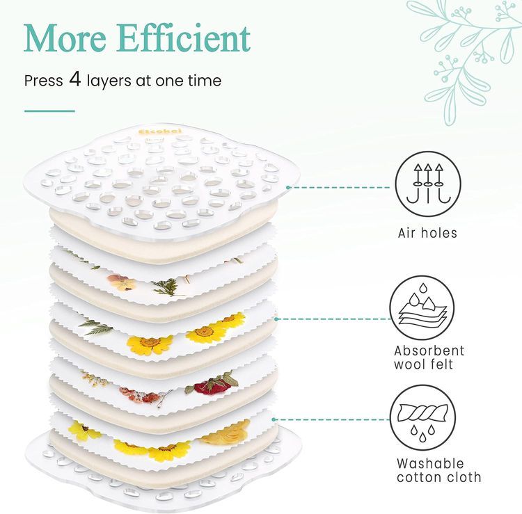 No. 7 - Etcokei Quickly Microwave Flower Press Kit - 2