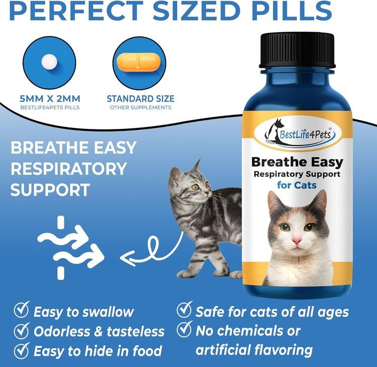 No. 2 - Breathe Easy for Cats - 4