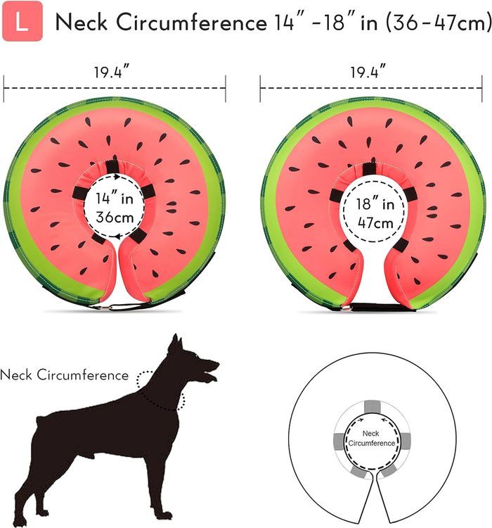 No. 4 - MIDOG Dog Cone Collar - 5