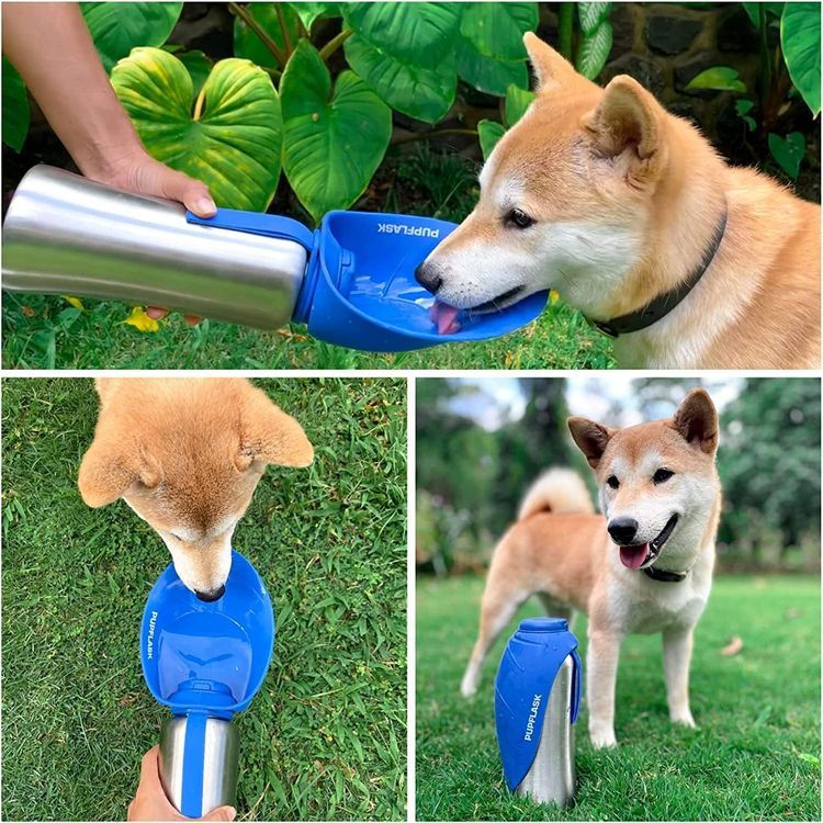 No. 8 - PupFlask Large Dog Water Bottle - 5