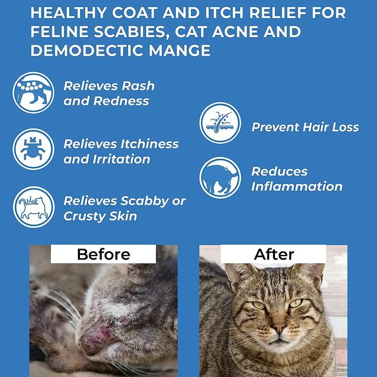 No. 8 - BestLife4Pets Demodectic Mange and Scabies Relief for Cats - 3