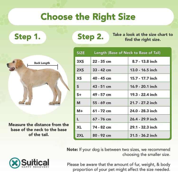 No. 1 - Suitical Dog Surgery Suit - 4