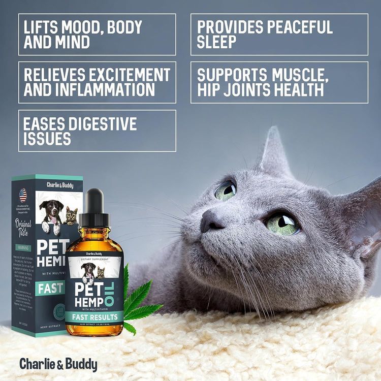 No. 1 - Charlie & Buddy Pet Hemp Oil - 4