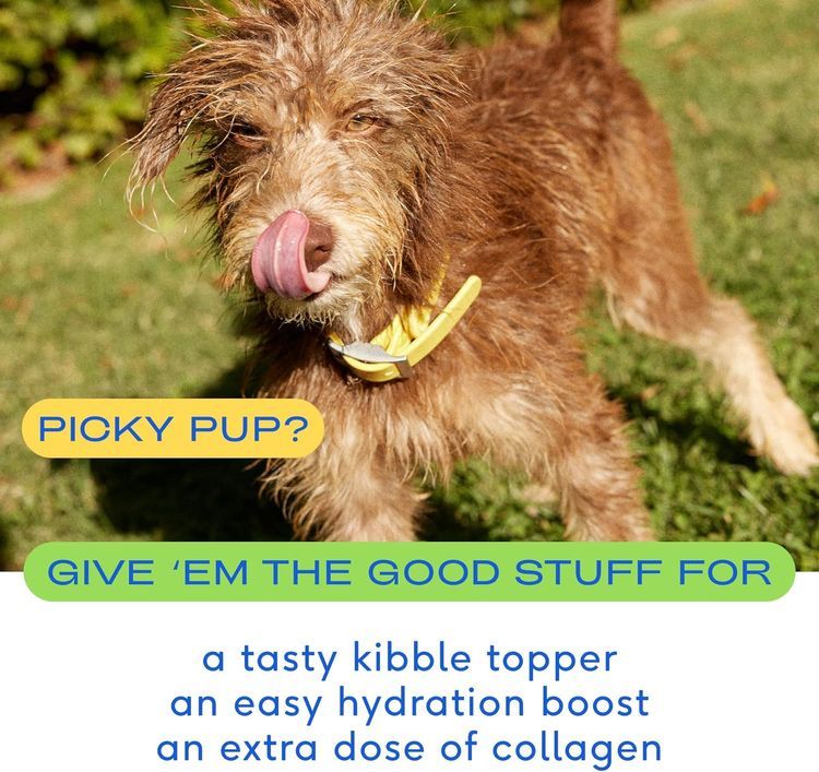 No. 1 - Native Pet Bone Broth, Food Gravy Topper - 3