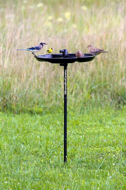 No. 2 - Brome Bird Care Bird Feeder Seed Guard - 3