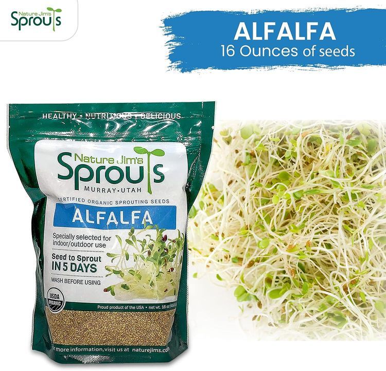 No. 9 - Nature Jims Sprouts Alfalfa Seeds - 2