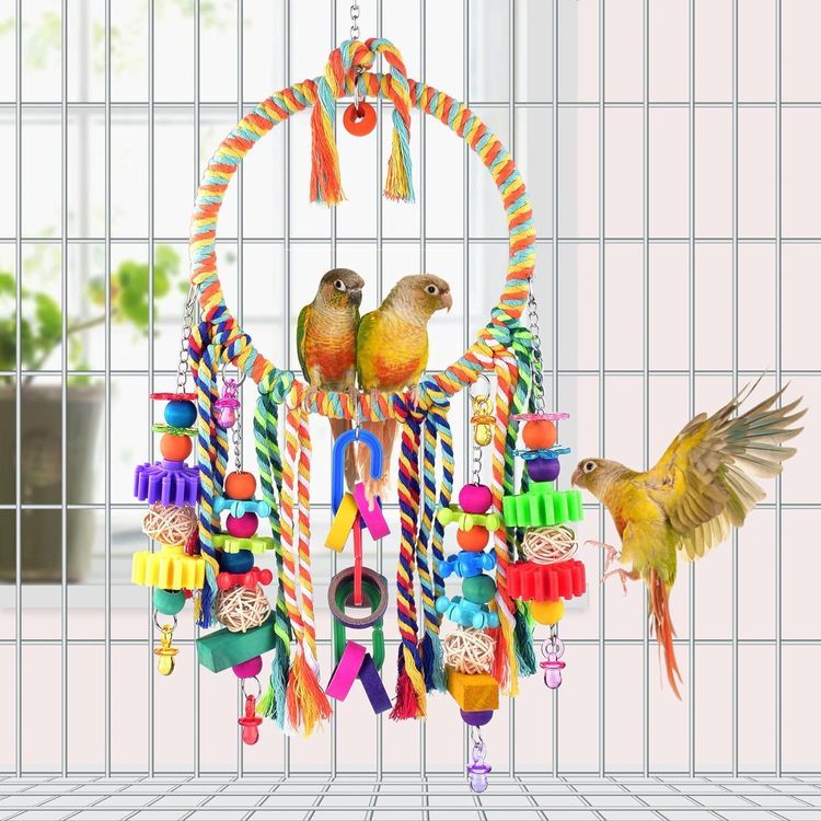 No. 4 - KATUMO Bird Swing Toy - 4