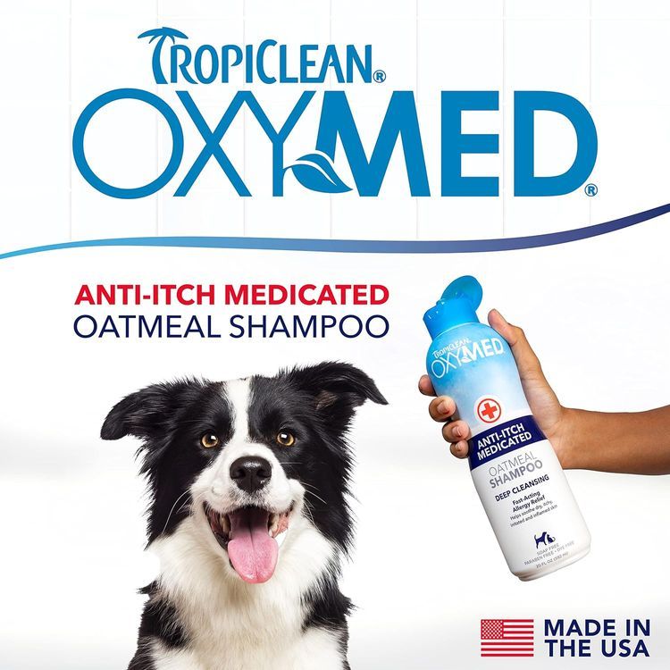 No. 10 - TropiClean Oxymed Medicated Cat & Dog Shampoo - 2