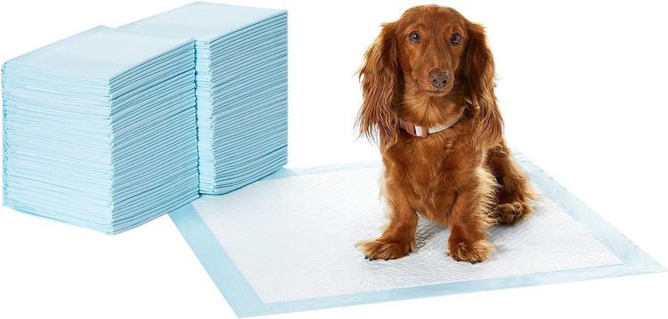 No. 3 - Amazon Basics Dog and Puppy Pee Pads - 1