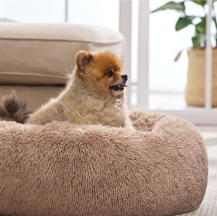 No. 8 - Bedsure Calming Dog Bed - 4