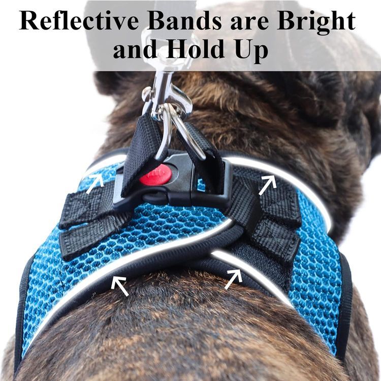 No. 5 - Balabuki Dog Harness - 4