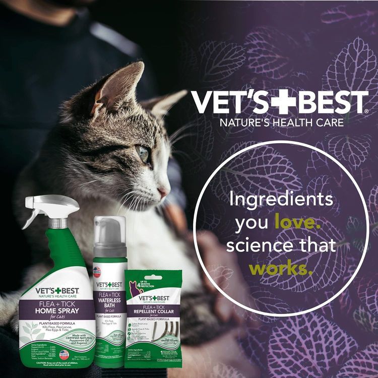 No. 7 - Vet's Best Cat Shampoo - 5