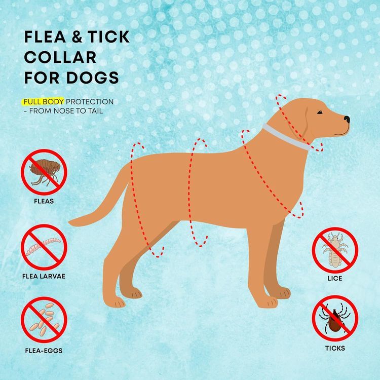 No. 7 - ProElobara Dog Flea Collar - 3
