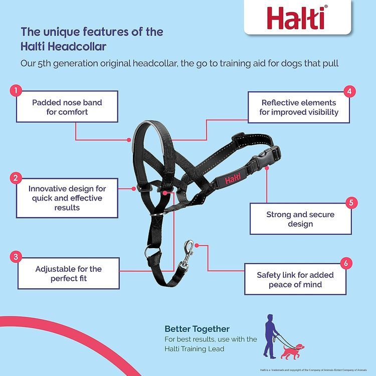 No. 2 - HALTI Headcollar - 3