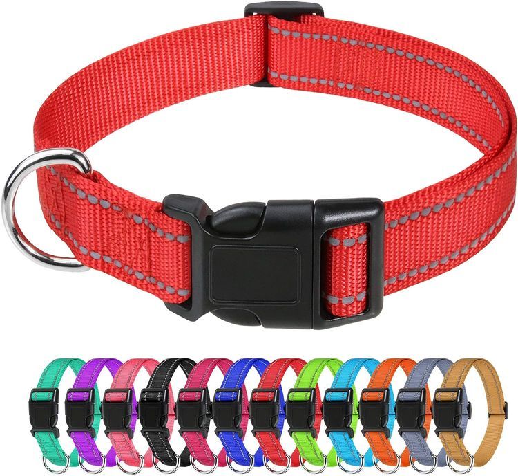 No. 5 - TagME Reflective Nylon Dog Collars - 1