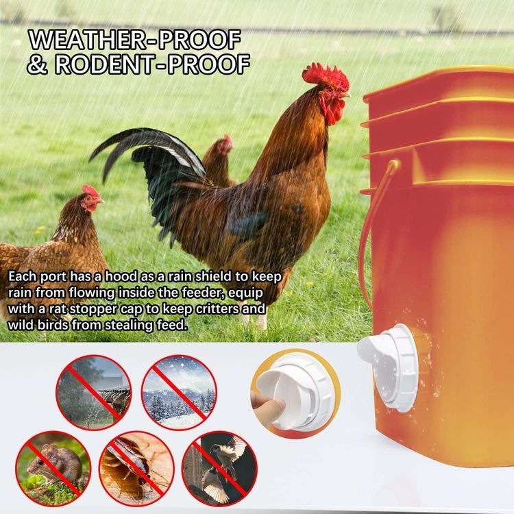 No. 6 - DSTANA DIY Chicken Feeder No Waste - 3