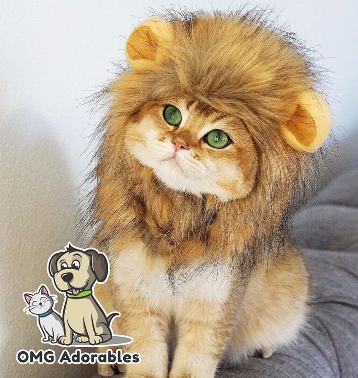 No. 4 - OMG Adorables Lion Mane Costume - 1