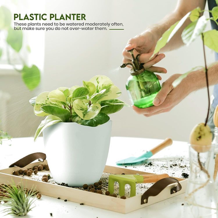 No. 2 - Utopia Home Plant Pots with Drainage - 4