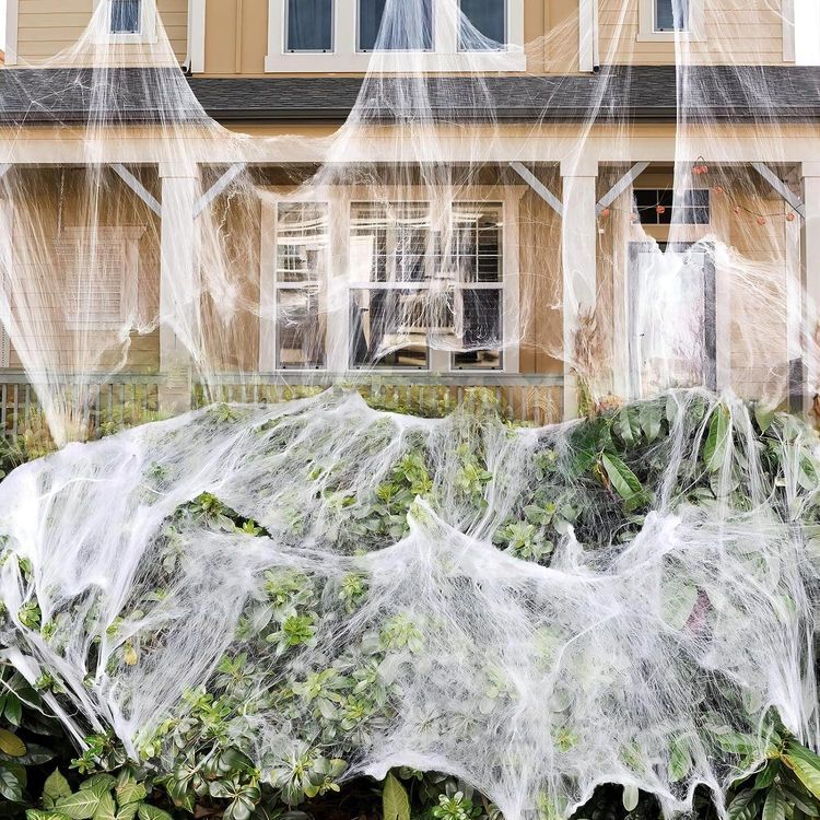 No. 7 - DUXAA Spider Web Decorations - 1