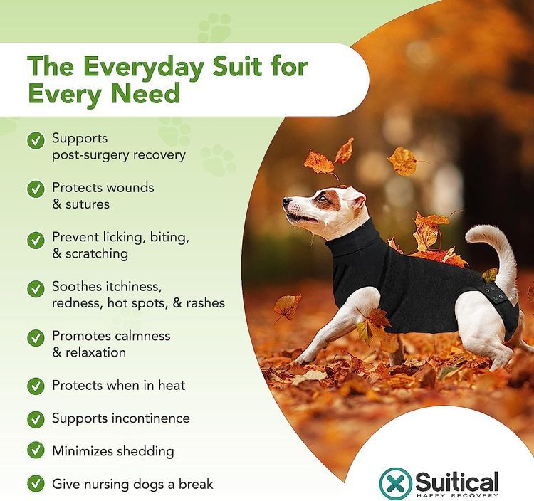 No. 1 - Suitical Dog Surgery Suit - 3