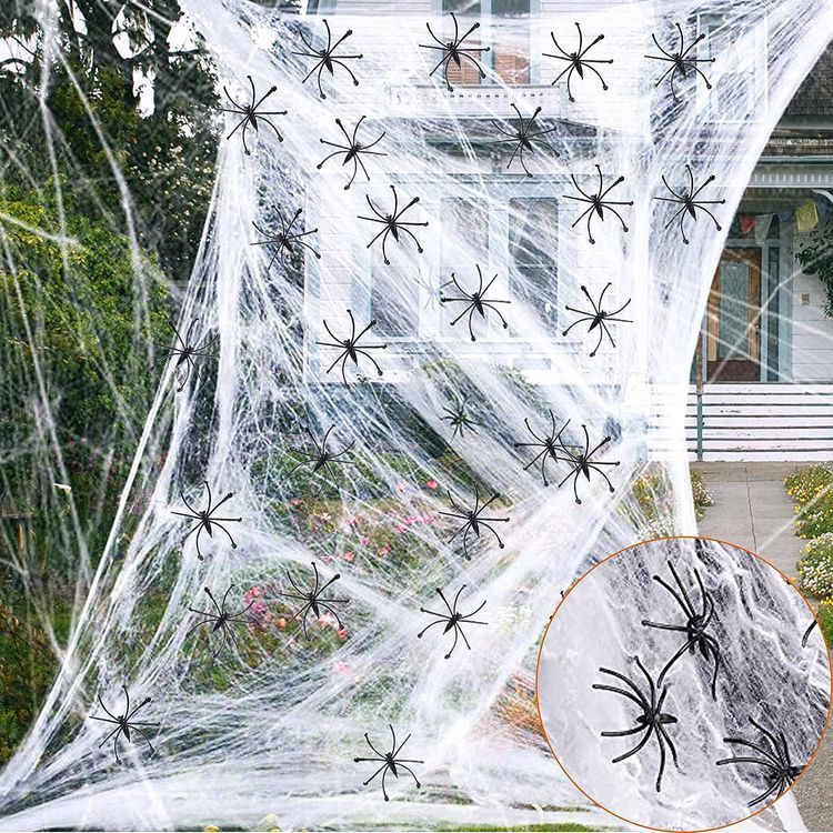 No. 6 - Labrostar Spider Web Decoration - 1