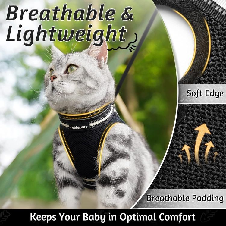 No. 9 - rabbitgoo Cat Harness and Leash Set - 4