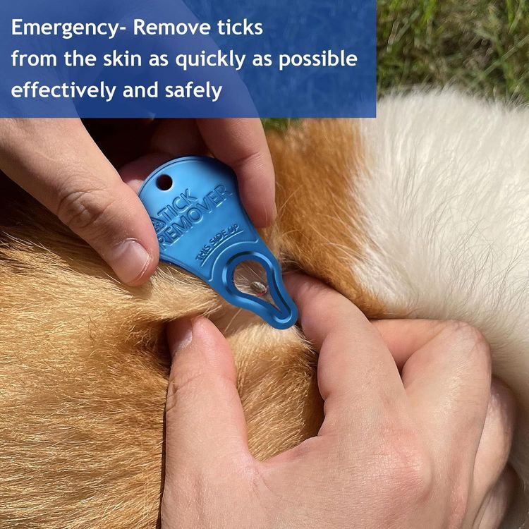 No. 9 - JOTOVO Tick Remover Tool - 3