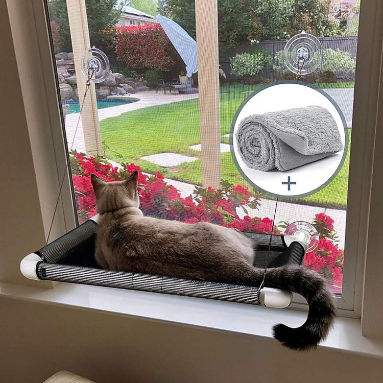 No. 10 - Lcybem Cat Window Perch - 1