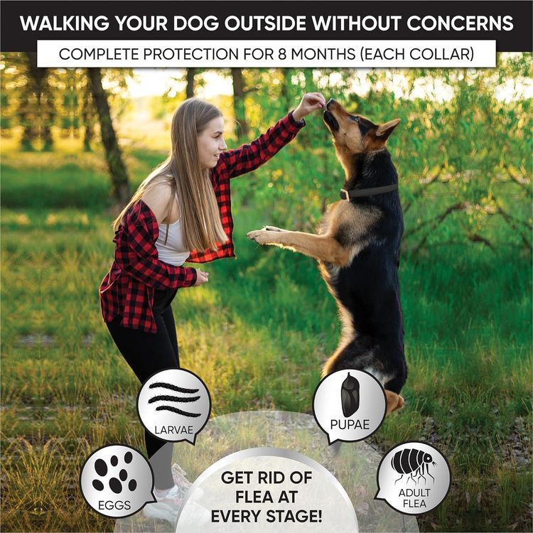 No. 6 - TriOak Flea and Tick Collar - 3